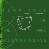 Furniture Icecat Furniture of the Mind Rearranging LP