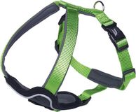 Nobby Tuig Classic Preno Groen 45-50cm