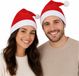 Boland Party Kerstmuts - 2x - rood - voor volwassenen