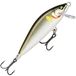 Rapala - Visaas Countdown Elite - Visaccessoires van balsahout - Zoetwater spinaas - Zinken - Loopdiepte: 0,9 m - Grootte: 5,5 cm / 5 g - Gemaakt in Estland - Gilded Ayu
