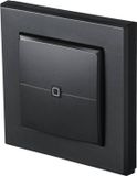 Homematic IP Wandbediening, 2-voudig, Antraciet