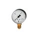 RIEGLER 101806-124 standaard manometer, plaatstaal, G 1/4 onder, 0-250,0 bar, Ø 63, 1 st.