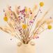Ensemble de fleurs séchées, 135 tiges, bouquet, décoration naturelle
