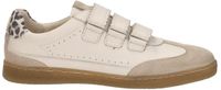 Sub55 Klittenband Klittenband - Beige - Maat 42