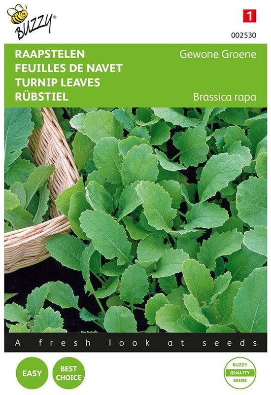 Buzzy Zaden Raapstelen Groene