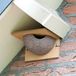 CJ Wildlife Kunstnest voor Huiszwaluw - Enkel Zwaluwnest - Nestkast voor Zwaluw - Vogelhuis van FSC-gecertificeerd Hout
