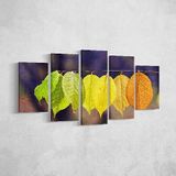 Homemania Wandfoto, 5, natuur-per woonkamer, meerkleurig, 100 x 3 x 60 cm, HM205PKNV-263, polyester, hout