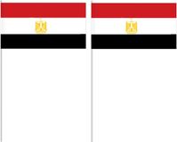 Merkloos Egypte Zwaaivlaggetjes - 10x - 12 x 24 cm - Egyptische vlaggetjes - feestartikelen
