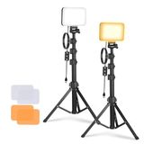 NEEWER Basics Studio-verlichtingsset, 2 LED-lampen, tweekleurig, met statieven en filters, dimbaar, draagbaar, 3200K-5600K, CRI95, 750 lux