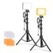NEEWER Basics Studio-verlichtingsset, 2 LED-lampen, tweekleurig, met statieven en filters, dimbaar, draagbaar, 3200K-5600K, CRI95, 750 lux