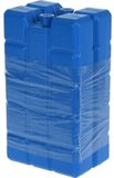 Merkloos / Sans marque Koelelementen 6x stuks 400 gram 9 x 16 cm kunststof elementen voor koelbox/koeltas