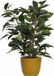 Mica Decorations Ficus kunstplant - groen - 40 cm - met plantenpot - geel - keramiek