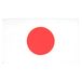 AZ FLAG Japanse Vlag 90x60 cm