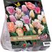 Baltus Urban Flowers - Pink pleasure - 2 x 15 stuks