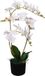 vidaXL Kunstplant orchidee met pot 65 cm wit
