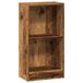 VidaXL Boekenkast 40x24x76 cm bewerkt hout oud houtkleurig