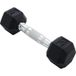 CRIVIT Haltère hexagonale, 2,5 kg.