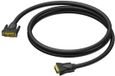 Procab CLV140/5 câble DVI-D 5 mètre