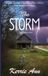 The Libri GmbH The Storm at Crow's End
