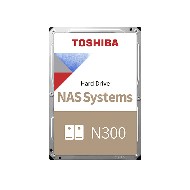 Toshiba N300