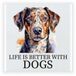 Bellatio Decorations Cadeau tegel hondenliefhebber - Dalmatier hond - keramiek - water kleuren - 15 x 15 cm