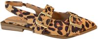 Bridge 26157752 Slingbacks Luipaardprint Textiel Dames - Luipaard - 40