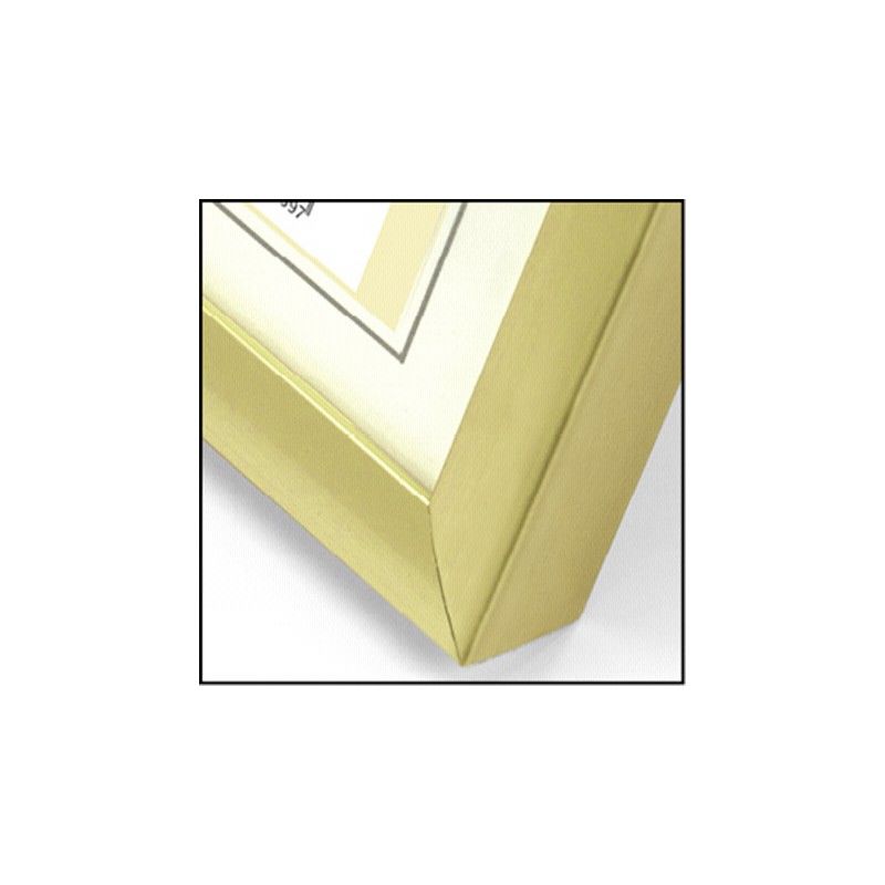 Zep New Easy goud DIN A4 21x29.7 kunststof lijst KG11