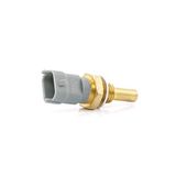 Delphi TS10253 Koelmiddeltemperatuursensor
