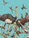 Petit Oiseaux Petit Carnet