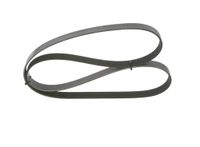 BOSCH Keilrippenriemen 1987946092
