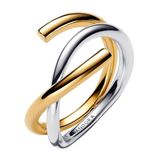 Pandora Damesring, tweekleurig, 163889C00, 58/18,5, sterling zilver, geen edelsteen