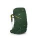 Osprey Ace 38 Green Canopy OS