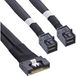 InLine 27648A Serial Attached SCSI (SAS)-kabel 0,5 m SFF-8654 8i naar 2x SFF-8643 Zwart