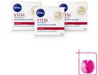 NIVEA VITAL Anti-Rimpel Dagcrème - Versterkende Gezichtsverzorging - 50 ml - 3 Stuks