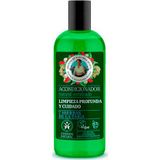 Agafia Natural Hair Conditioner Nettoyage et soin en profondeur 260ml