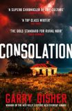 Consolation: The Paul Hirsch mysteries- Consolation