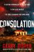Consolation: The Paul Hirsch mysteries- Consolation