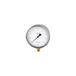 Riegler precisiedrukmeter Skt kaliber 0 tot 400,0 bar