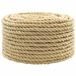 vidaXL - Multifunctioneel touw - 16 mm - 100 m - Naturel - PP