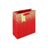 Eurowrap Set van 6 Ombre Gift Bags
