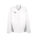 PUMA Teamgoal Trainingsjack Jr uniseks-volwassene Track Jas