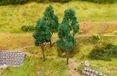 Faller 4 Beeches - FA181377 - Model Railway Scale H0
