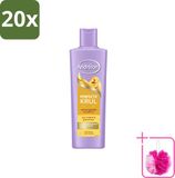 Andrélon Shampoo Perfecte Krul - 250 ml