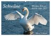 Mit Calvendo Mit dem Schwan durchs Jahr 2027 (Wandkalender 2027 DIN A2 quer), CALVENDO Monatskalender