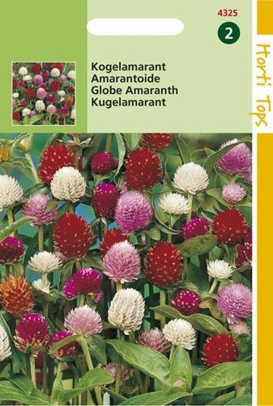 Hortitops Zaden - Gomphrena Globosa Gemengd