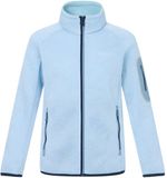 Regatta Kinderfleece Newhill Skyway (Dusky Blue) 13 jaar