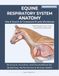 Equine Respiratory System Anatomy | Puzzle Book | 8.5 x 11 | 123 pages: Structure, Function, and Foundations for Breathing, Performance & Airway Health