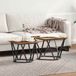 vidaXL Set de tables d'appoint bois recyclé 50 x 50 x 40 cm