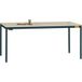 Manuflex LD1908.7016 ESD ESD-bureau UNIDESK met melamine blad, onderstel antraciet RAL 7016, bxdxh = 1200 x 800 x 720-730 mm Antraciet