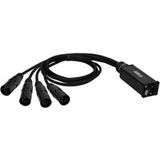 Adam Hall Cables 4 STAR CATBOX XM5 - Audio & DMX Adapter 5-Pin XLR Male x Cat.6a